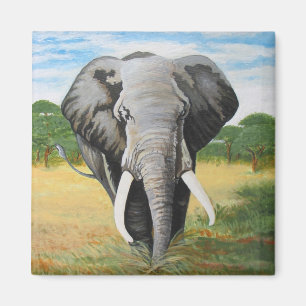 Wilder Elefant Magnet