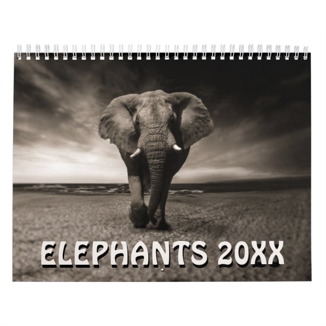 Wilder Elefanten Kalender (Titelbild)