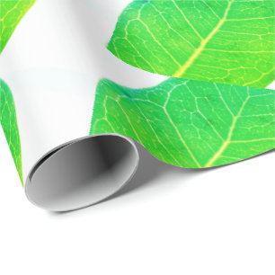 Wilder Feigenreicher grüner Blattstruktur-Wrap-Pap Geschenkpapier