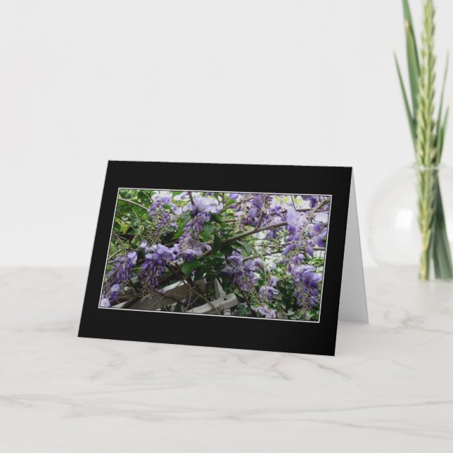 "Wilder Frühling " Karte (Vorderseite)