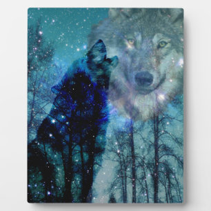 Wilder Geist Fotoplatte