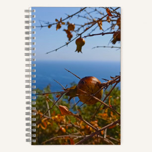 Wilder Granatapfel Sonniges Montenegro Sommer Notizbuch