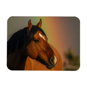 Wilder Hengst, Goldenes Licht und Regenbogen Magnet