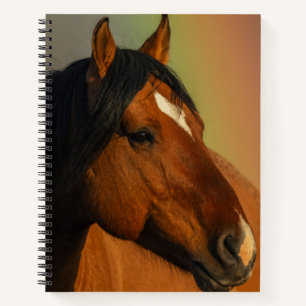 Wilder Hengst, Goldenes Licht und Regenbogen Notizbuch
