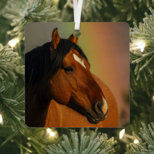 Wilder Hengst, Goldenes Licht und Regenbogen Ornament Aus Metall