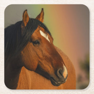 Wilder Hengst, Goldenes Licht und Regenbogen Rechteckiger Pappuntersetzer