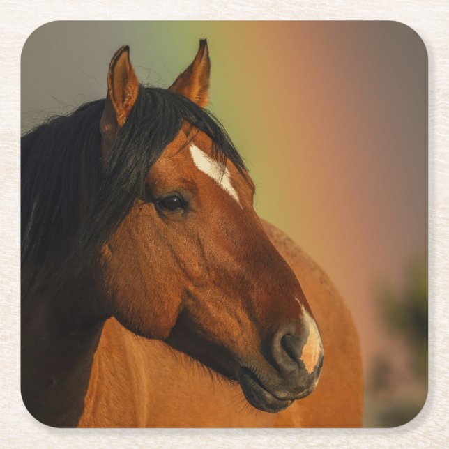 Wilder Hengst, Goldenes Licht und Regenbogen Rechteckiger Pappuntersetzer (Vorderseite)