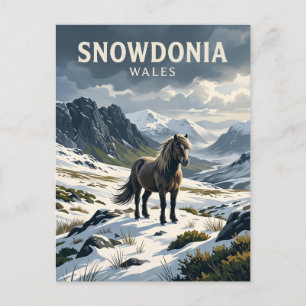 Wilder Hengst in Snowdonia Vereinigtes Königreich Postkarte