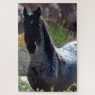 Wilder Hengst in Utah Puzzle