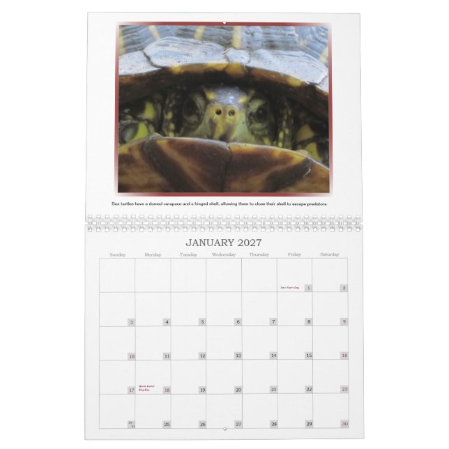 Wilder Kalender der Gesichts-2013 (Jan 2027)