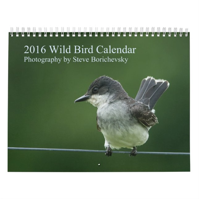 Wilder Kalender des Vogel-2016 (Titelbild)