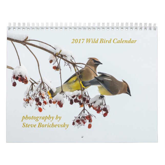 Wilder Kalender des Vogel-2017 (Titelbild)