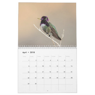 Wilder Kalender des Vogel-2018
