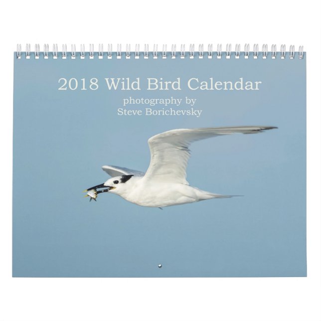 Wilder Kalender des Vogel-2018 (Titelbild)