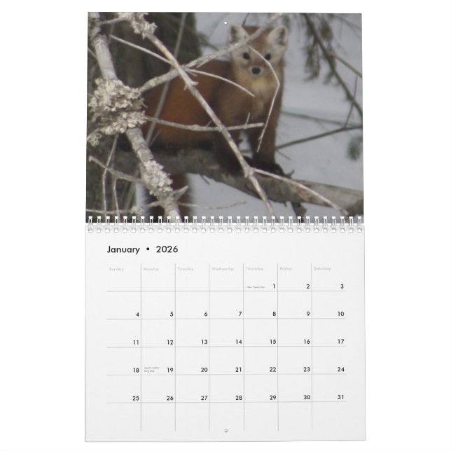 Wilder Kalender Maines Leben-2013 (Jan 2026)