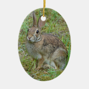 Wilder Kaninchen Östliches Baumwollschwanzkaninche Keramik Ornament