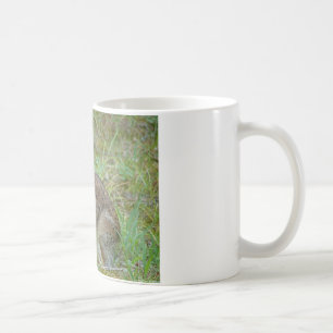 Wilder Kaninchen Östliches Baumwollschwanzkaninche Tasse