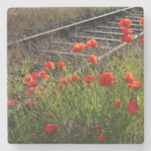 Wilder Mohn      Steinuntersetzer