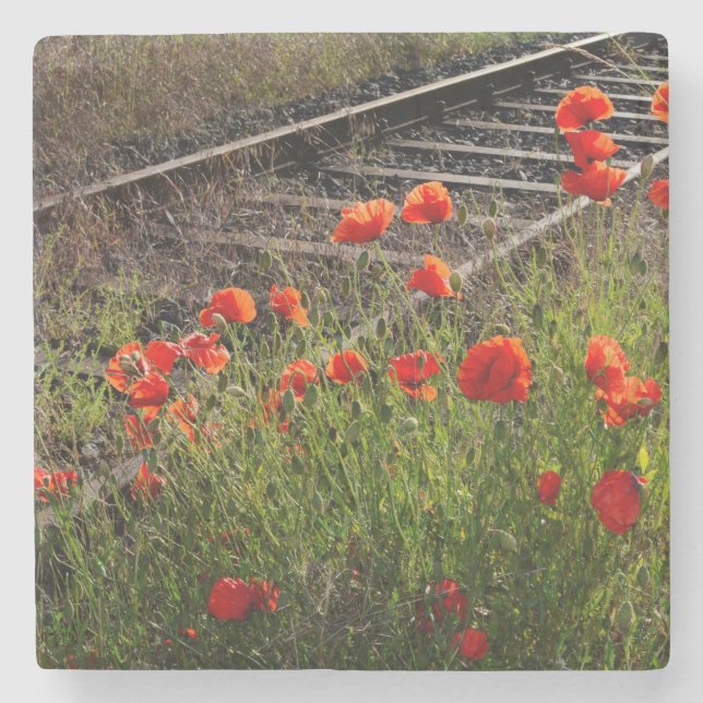 Wilder Mohn      Steinuntersetzer (Vorderseite)