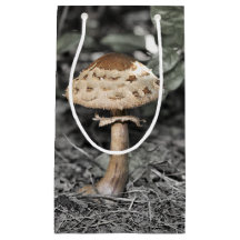 Wilder Pilz (Toadstool)
