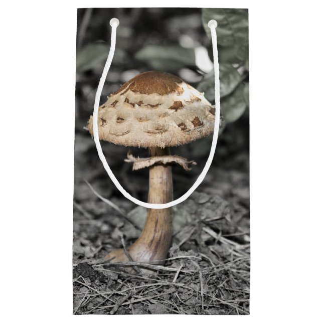 Wilder Pilz (Toadstool) Kleine Geschenktüte (Vorderseite)