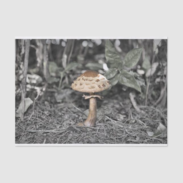 Wilder Pilz (Toadstool) Seidenpapier (Vorderseite)