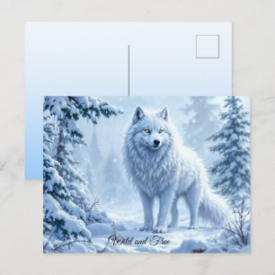 Wilder Schnewolf Raubtier Natur Winterkunst Postkarte