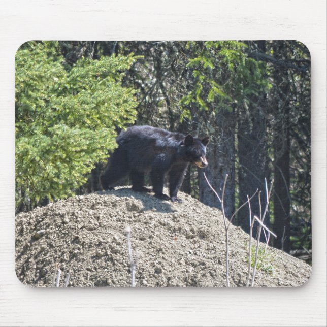 Wilder Schwarzbär Cub & Mud Hill Wildlife Foto Ges Mousepad (Vorne)