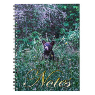 Wilder Schwarzbär Cub Wildlife Foto Notizblock