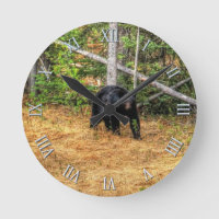 Wilder Schwarzbär & Yukon Forest Foto Kunst, Dicht