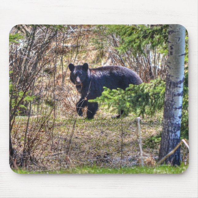 Wilder Schwarzer Bär und Bäume Wildlife Foto Mousepad (Vorne)