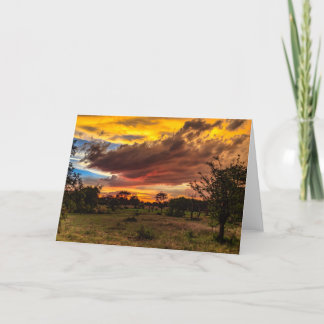 Wilder Sonnenuntergang, Südafrika Feiertagskarte