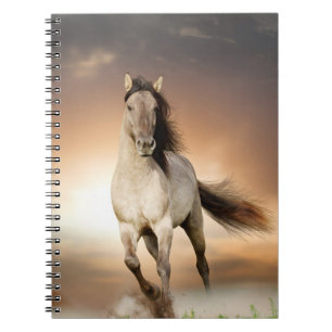 Wilder Stallion, der in Sonnenuntergang läuft Notizblock