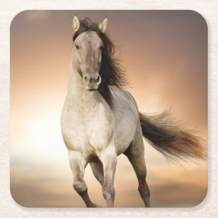 Wilder Stallion, der in Sonnenuntergang läuft Rechteckiger Pappuntersetzer