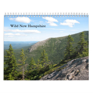 Wilder Standardwandkalender des New Hampshire-2013 Kalender