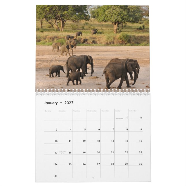 Wilder Tansania-Kalender Kalender (Jan 2027)