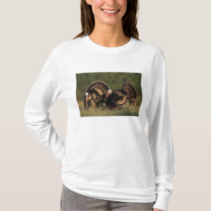 Wilder Truthahn, Meleagris gallopavo, Männchen T-Shirt