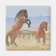 Wilder und freier Magnet