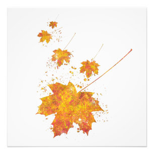 Wilder Wald Natur Erde V Fotodruck