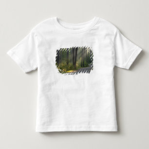 Wilderness Drive, Itasca Staat Park, Kleinkind T-shirt