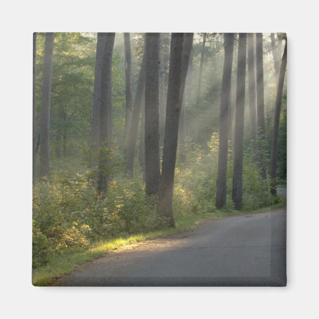 Wilderness Drive, Itasca Staat Park, Magnet (Vorne)