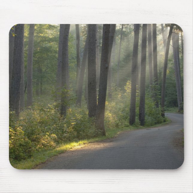 Wilderness Drive, Itasca Staat Park, Mousepad (Vorne)
