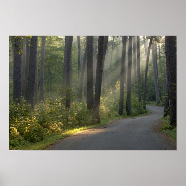 Wilderness Drive, Itasca Staat Park, Poster (Vorne)