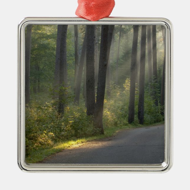 Wilderness Drive, Itasca Staat Park, Silbernes Ornament (Vorne)
