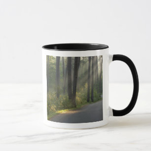 Wilderness Drive, Itasca State Park, Tasse