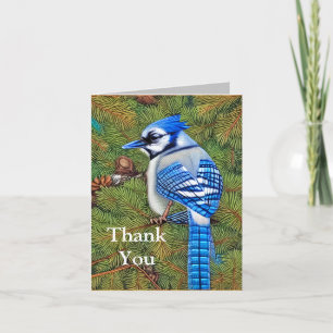 Wilderness Evergreen Blue Jay Dankeskarte