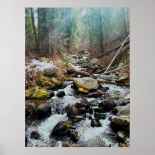 Wilderness Print Poster