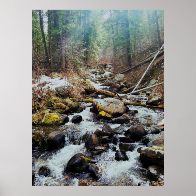 Wilderness Print Poster (Vorne)