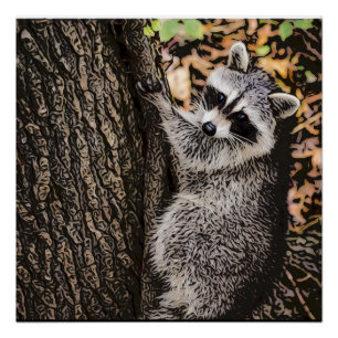 Wilderness Wild Raccoon Poster