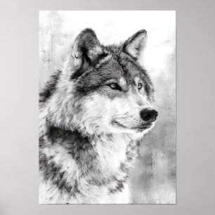 Wildernessgeist - Grauer Wolf Feinkunstskizze Poster